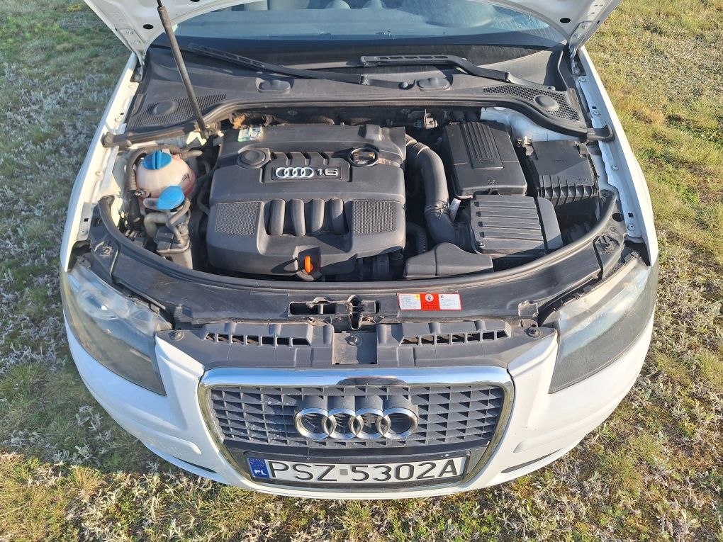 Audi A3 8P lifting