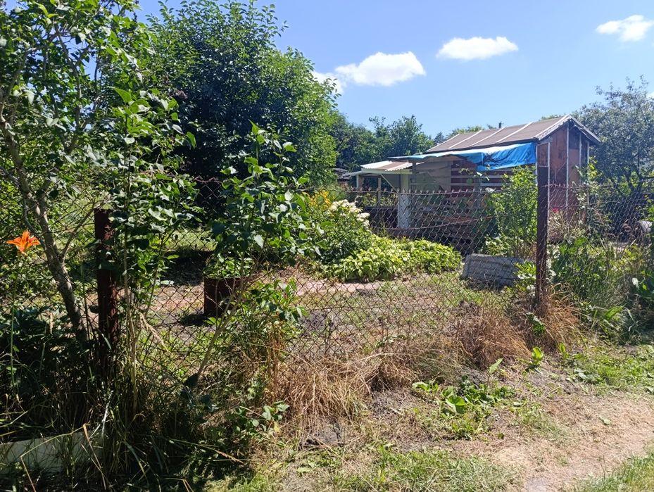 Дача біля Чепеліївки