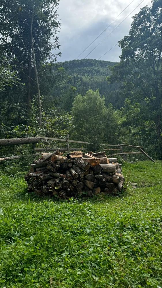 Оренда будинку в Карпатах