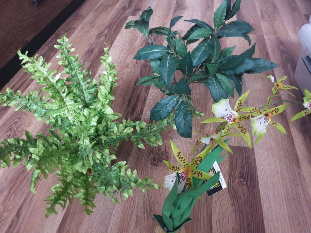 Wystroj terrarium;rośliny gałęzie korkowe,kryjówki magnetyczne, itp
