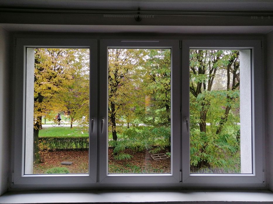 Porządne mycie okien