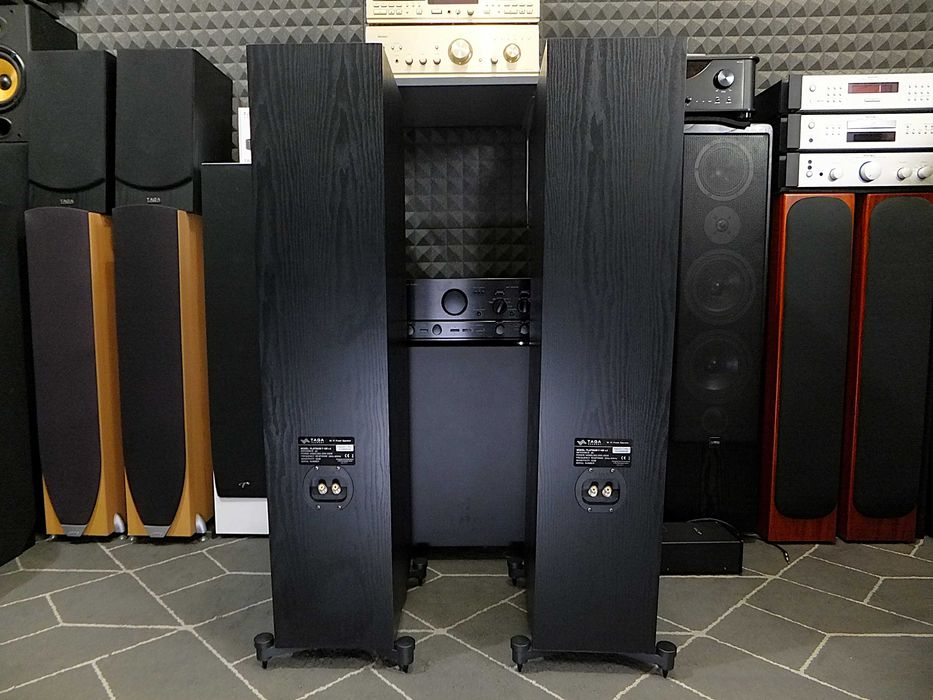 Nowe kolumny głośnikowe TAGA HARMONY Platinum F-100 v.4