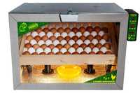 Инкубатори Тандем від 30 до 3000 куриних яєць