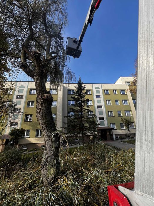 Wynajem Zwyżki z operatorem Ruda Śląska/Śląsk