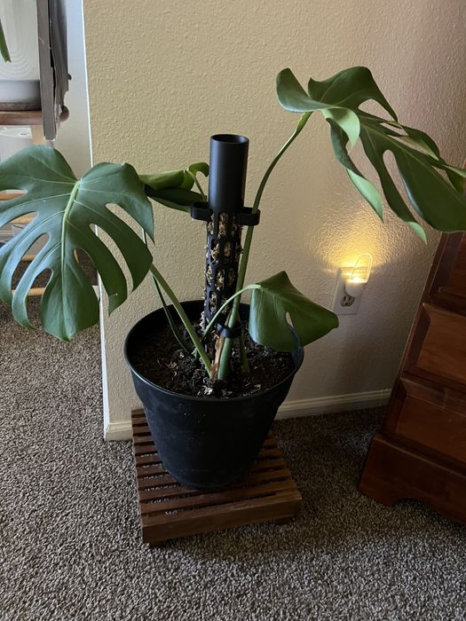 Опора, мохова опора, кашпо, лопата, тримачі для рослин