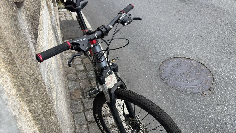 Bicicleta de Montanha Berg – Suspensão Total