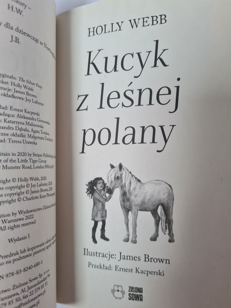 Kucyk z leśnej polany - Holly Webb