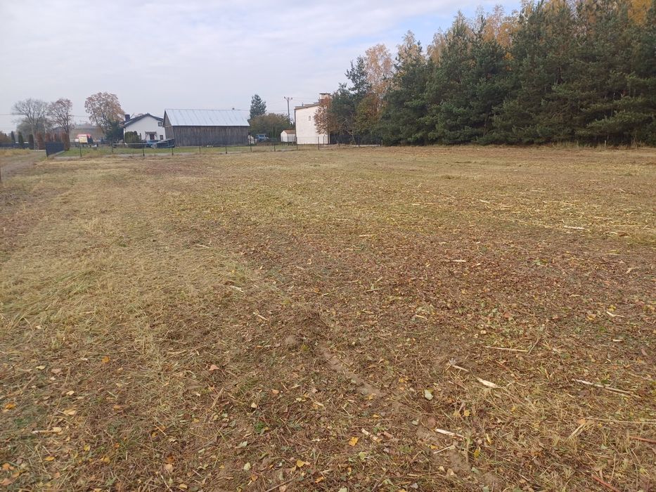 Wycinka Drzew Alpinistycznie Profesjonalnie, czyszczenie działek.