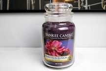 Black Plum Blossom Yankee Candle