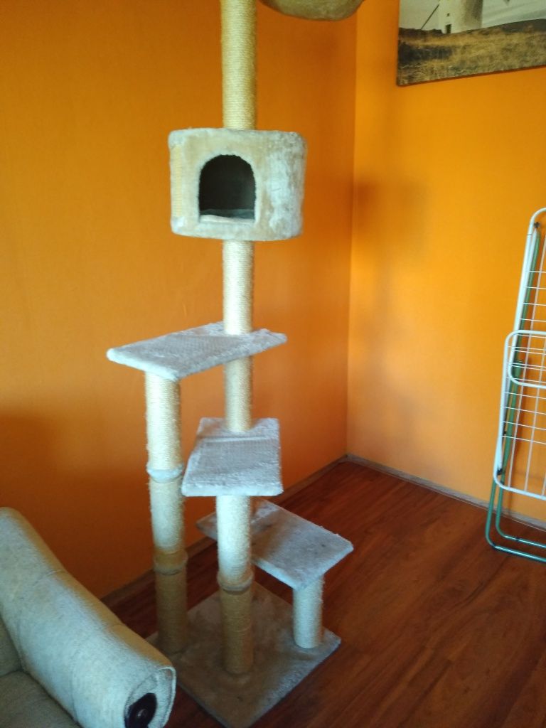 Drapak dla kota wysoki 2,5m