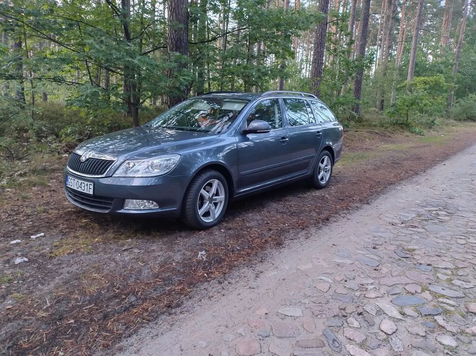 Skoda Octavia Skoda Octavia
