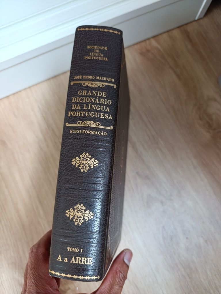 Vendo conjunto de dicionários de língua portuguesa