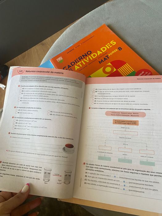 Livro de atividades 8 ano - 6€