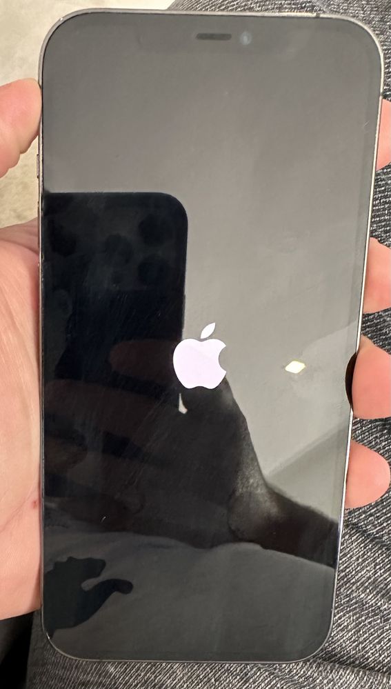 iPhone 12 Pro Max - 512 GB - Grafite - Desbloqueado