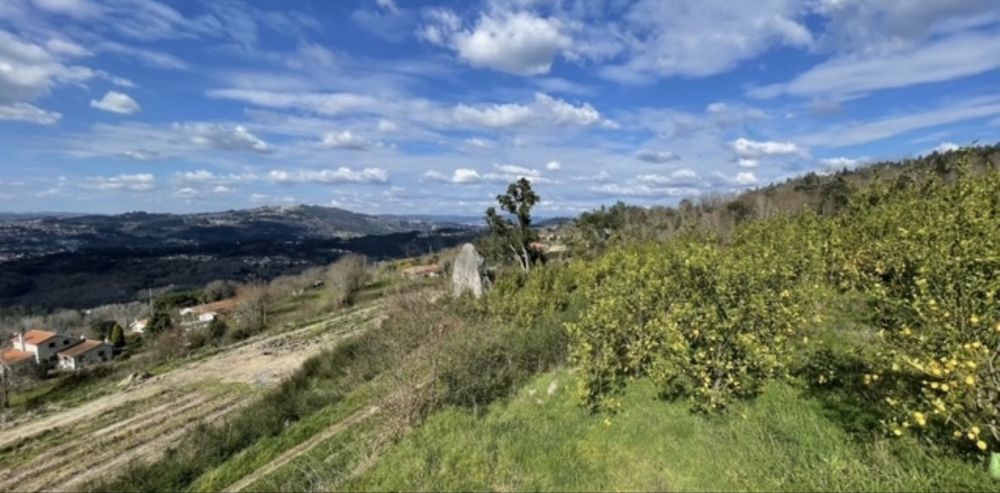 Vendo Terreno com 9 hectares.