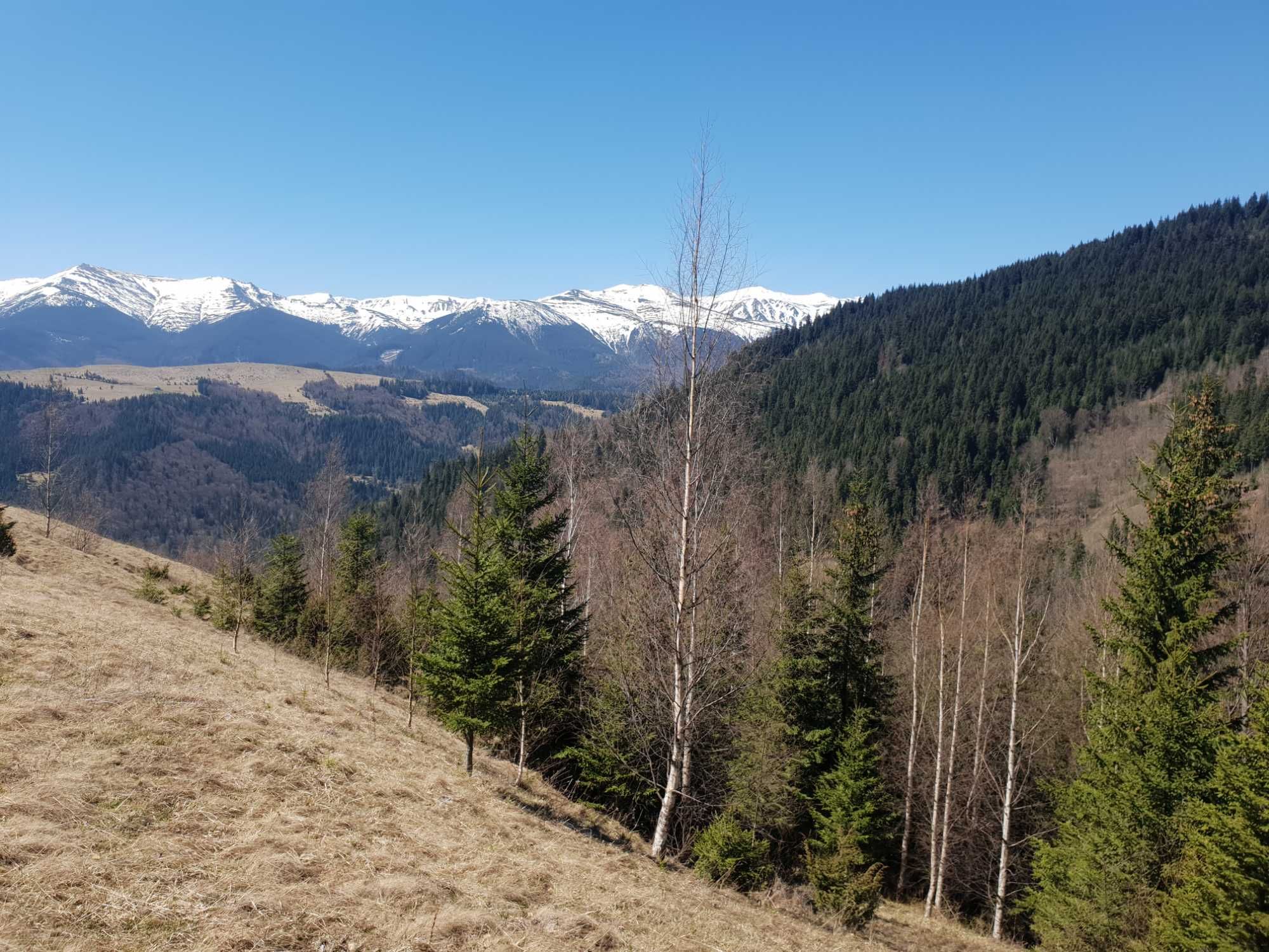 Велика ділянка в с. Красник. 6 га