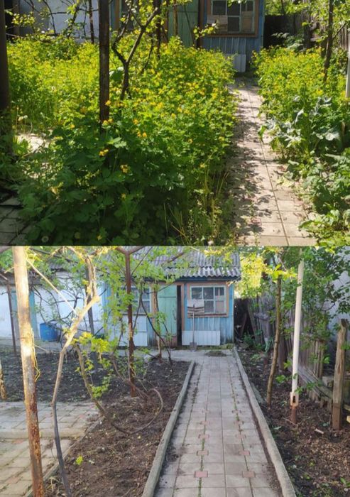 Спил деревьев любой сложности