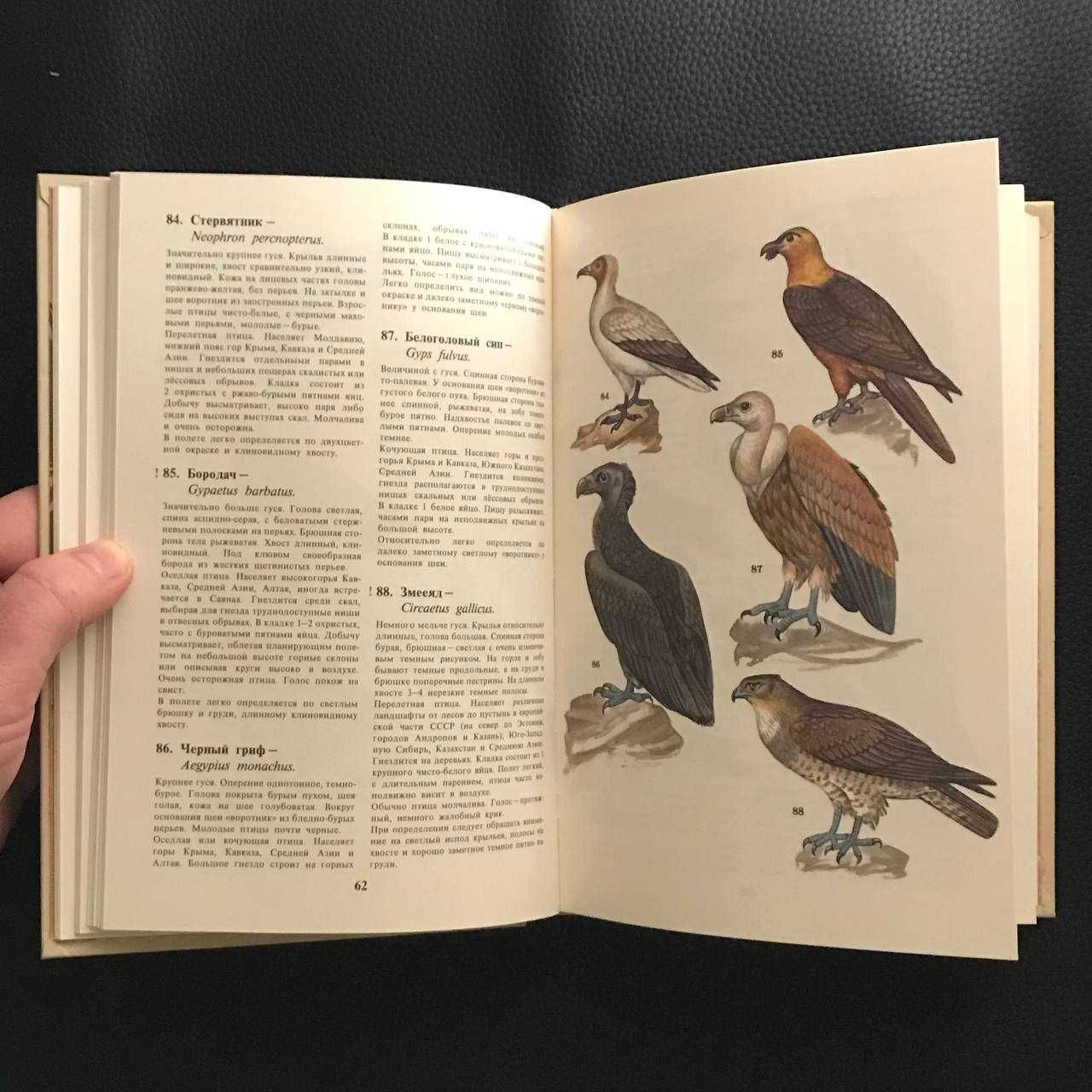 Енциклопедії про птахів 3 книги Букіністика
