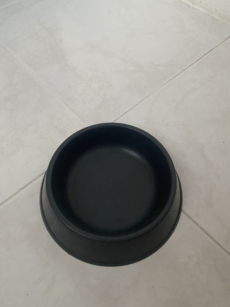 Diferentes pratos/ comedouros de gato