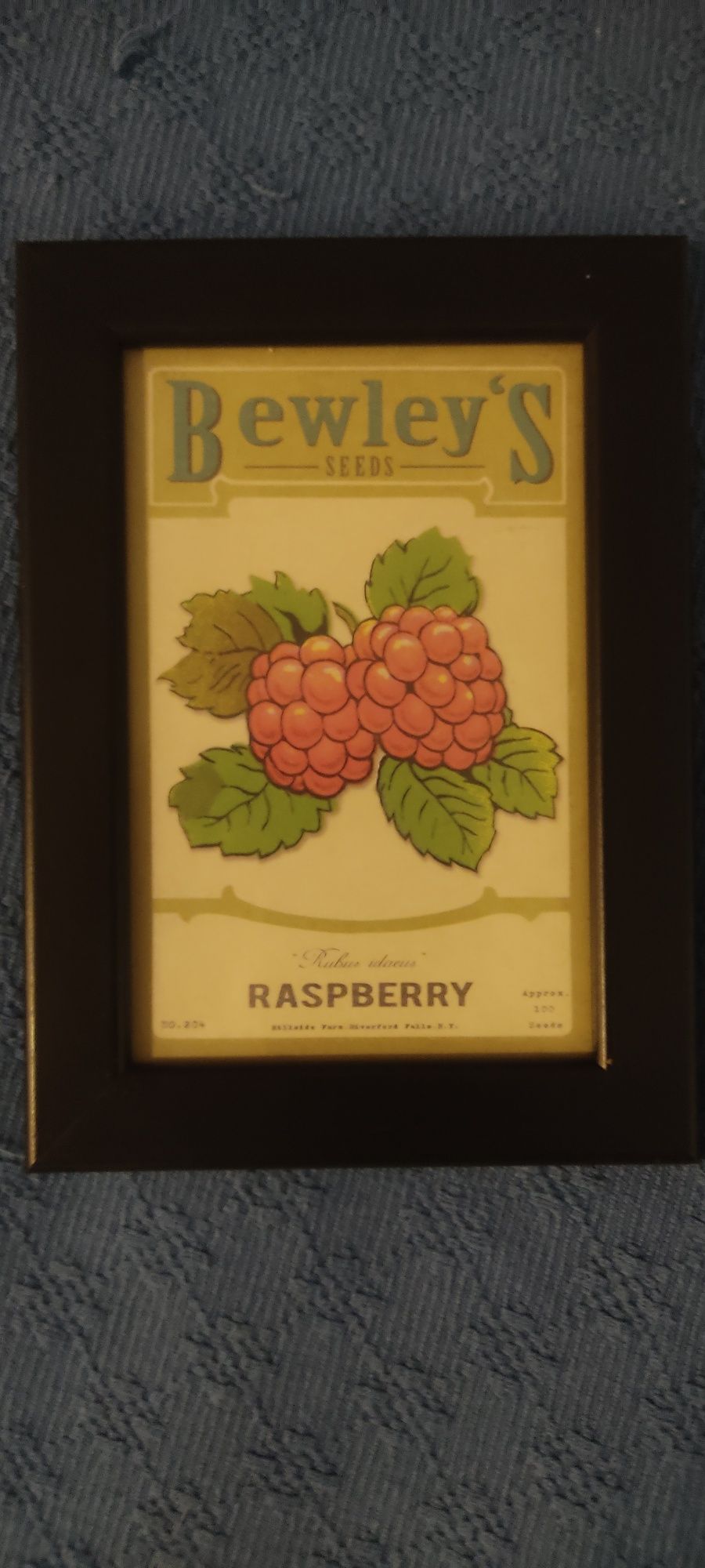 Quadros de coleção de frutas (preço para os 5)