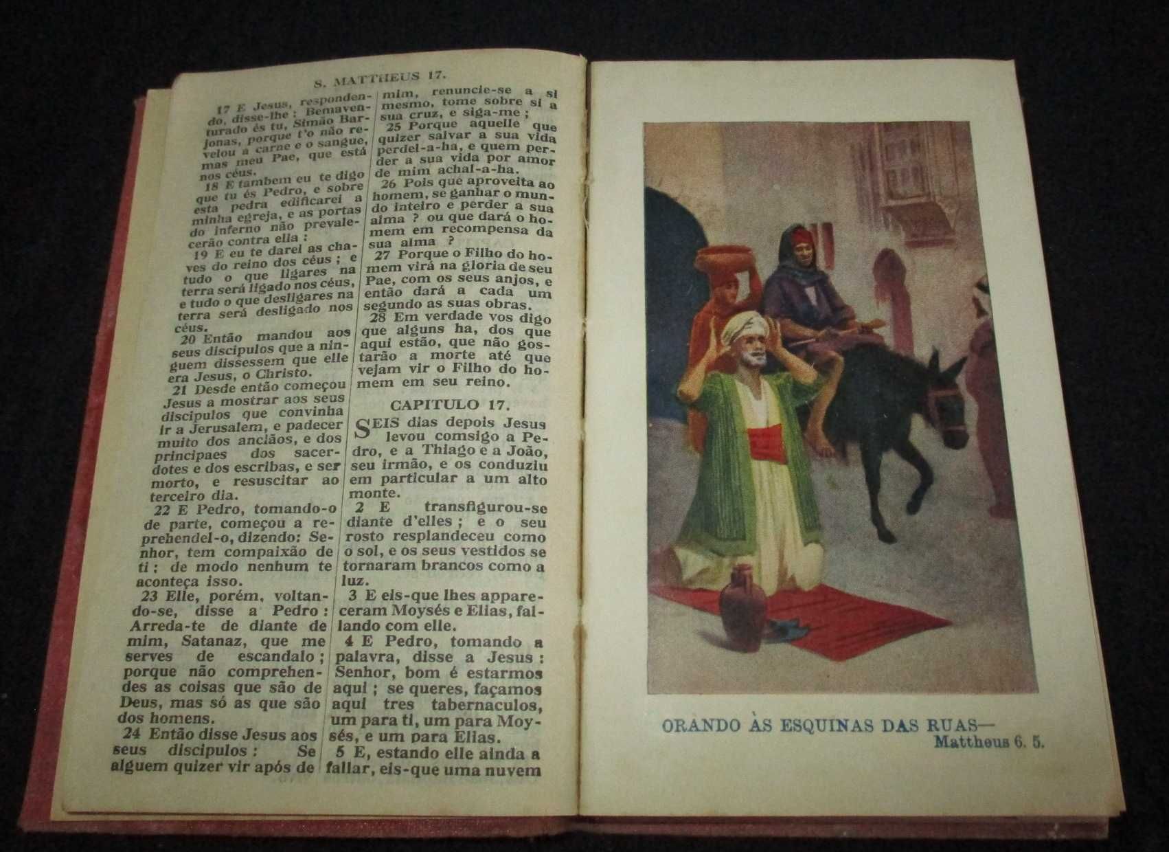 Livro O Novo Testamento dividido em porções quotidianas 1933