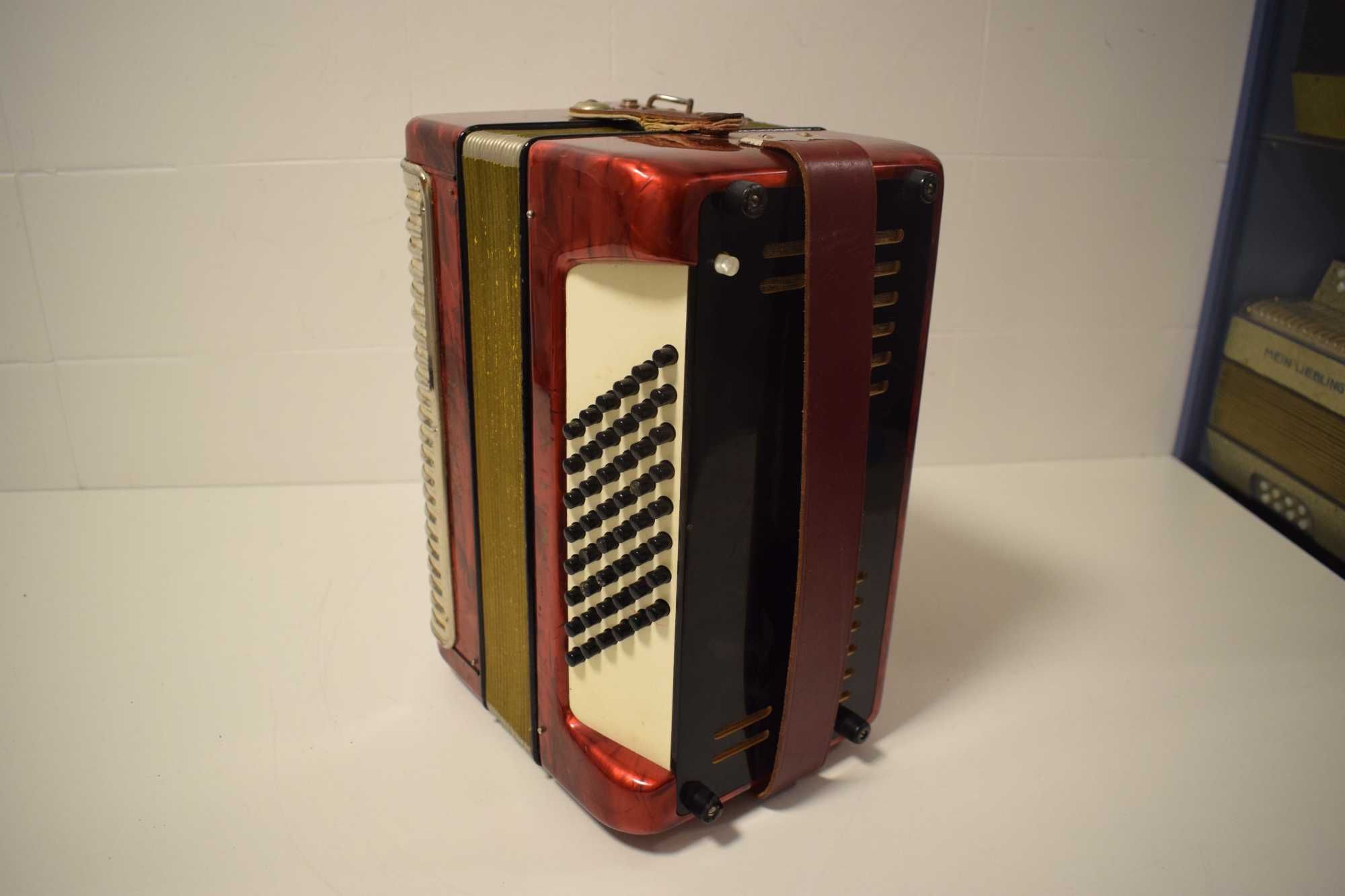 Acordeao Hohner Amati 2 Voz 48 Baixos, N 08