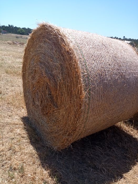 Vende-se rolos de palha