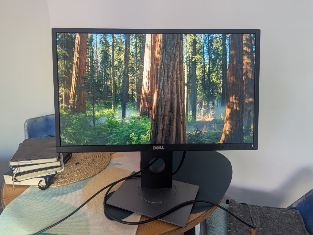 Monitor DELL '22 bom estado