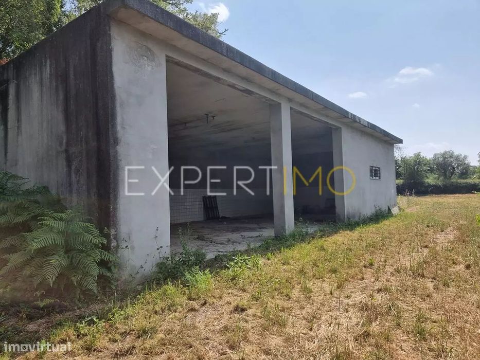 Quinta a 2 quilómetros do Rio Mondego