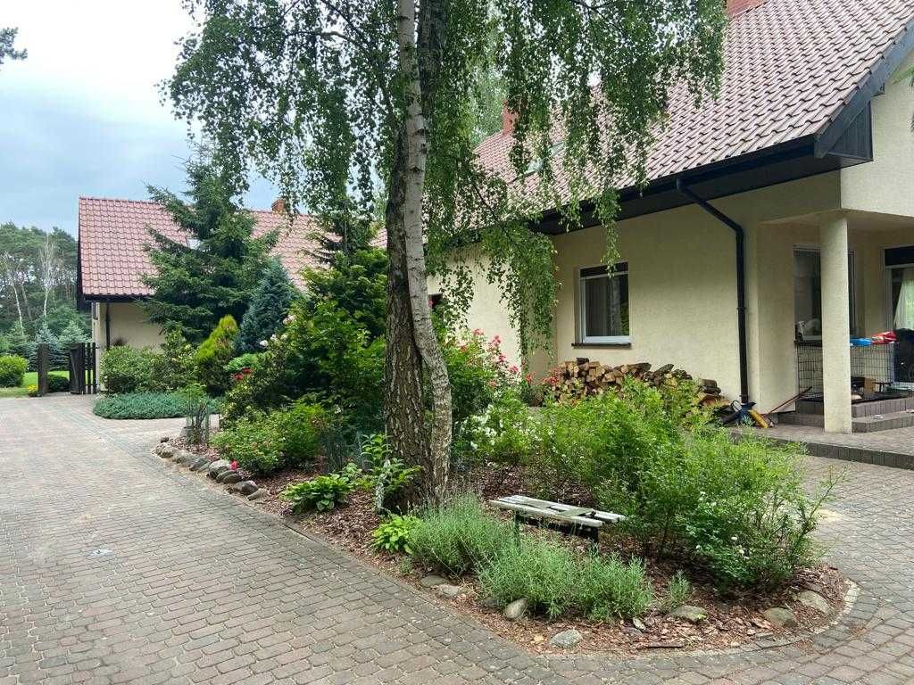 Bednarzówka - dla miłośników przyrody i pracowników | WOLNE W LIPCU