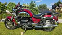 Triumph Rocket