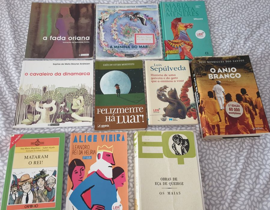 Livros diversos em bom estado