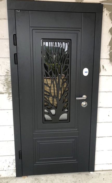 Двері вхідні на вулицю