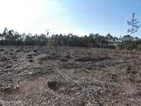 Terreno, Silveira, Cerca, Torres Vedras