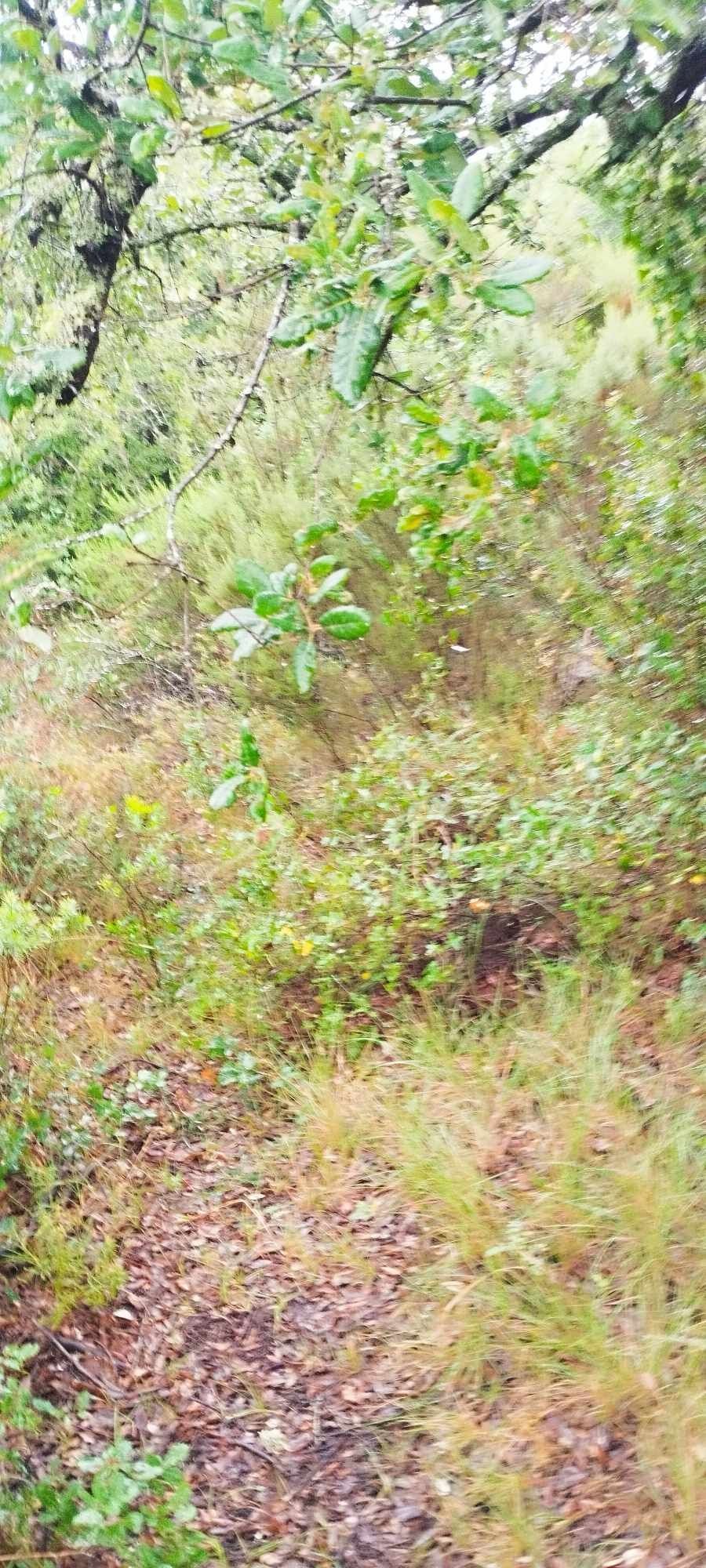 Terreno Rústico com 2000m²