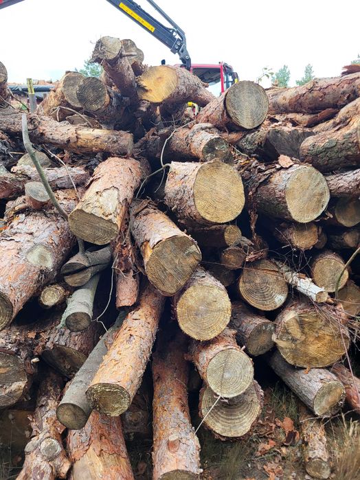 Drewno opałowe olcha, sosna, dąb, brzoza