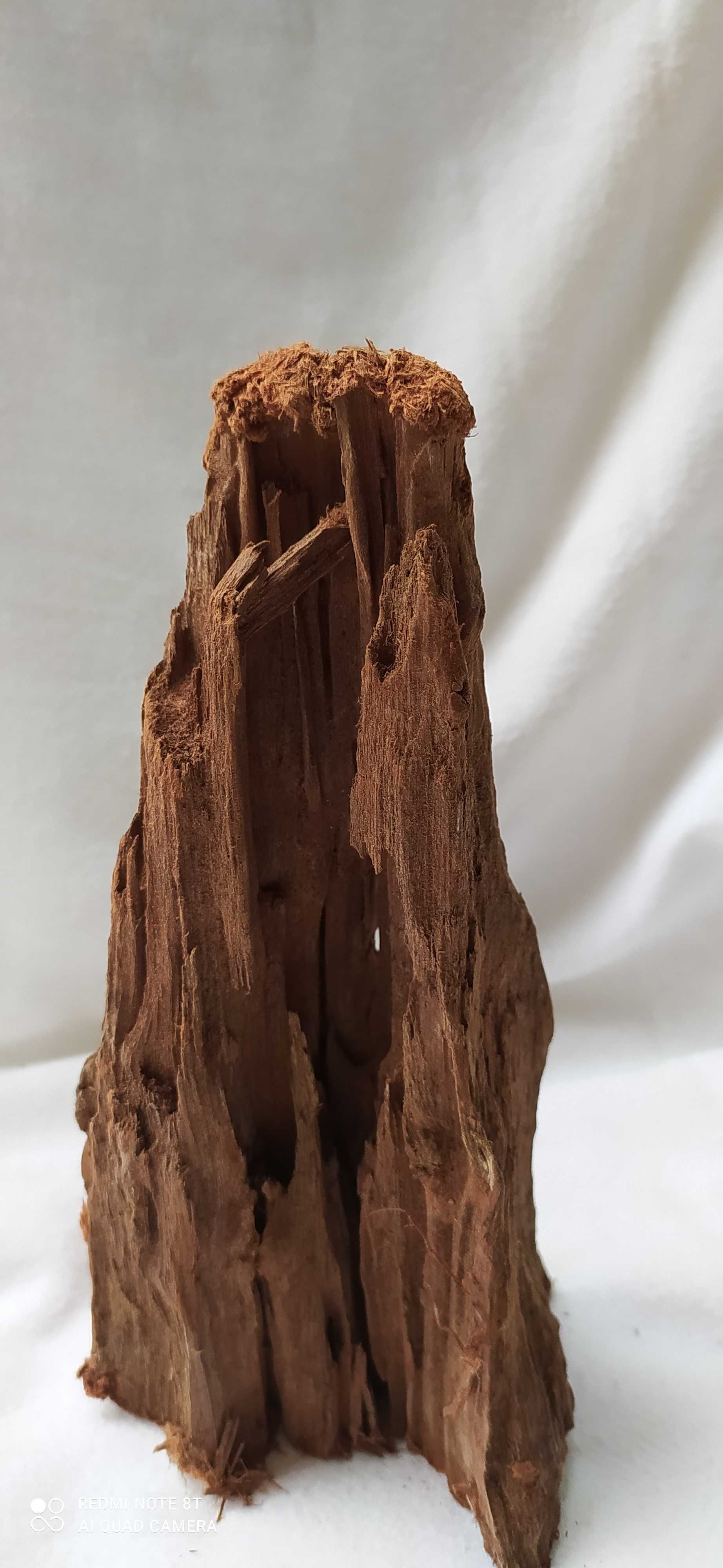 Drewno do akwarium-20,5 cm