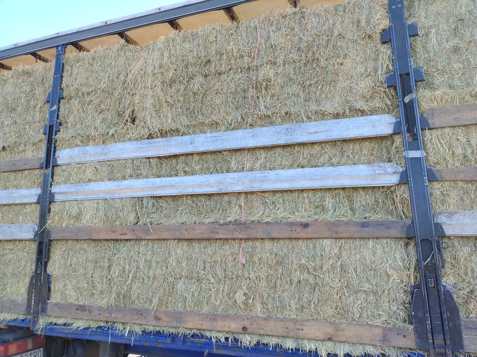 Sprzedam siano w kostkach