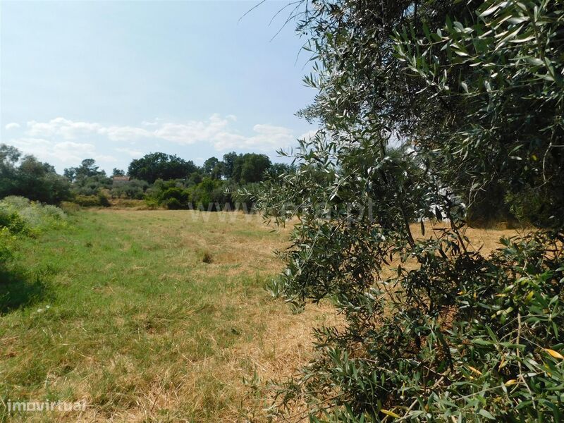 Terreno para Construção / Fundão, Valverde