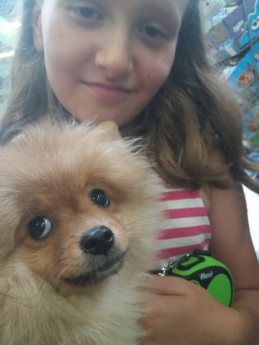 Передержка собак любой породы