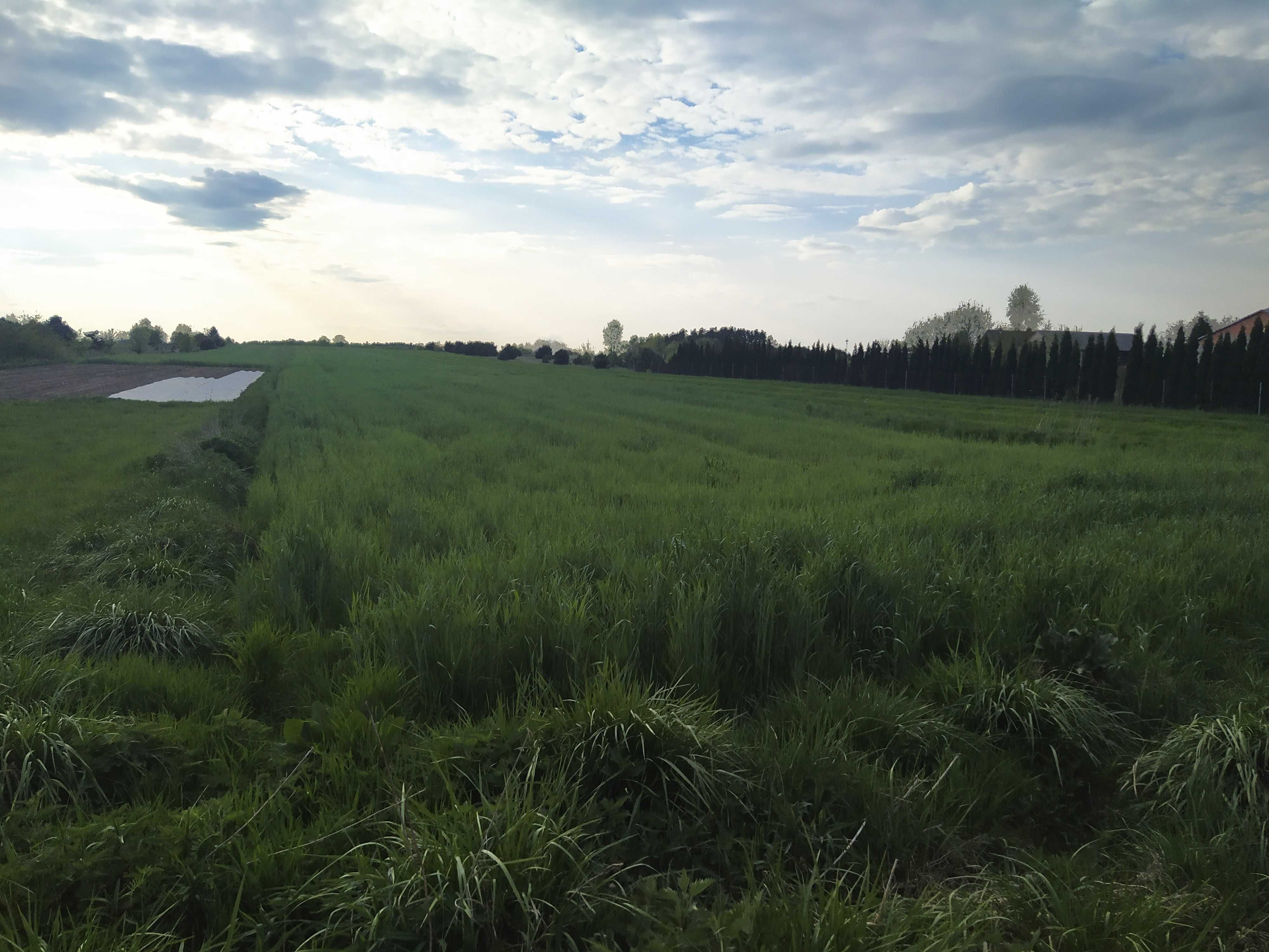 Działki na sprzedaż w pobliżu Narwi