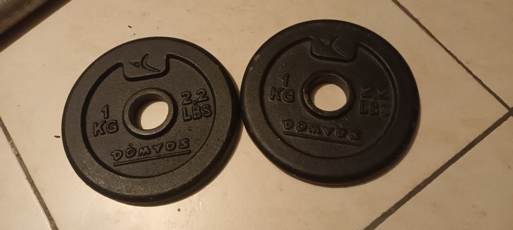 2 discos peso musculação 1kg