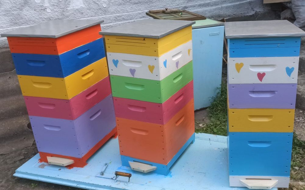 Вулики лежаки і корпусні.