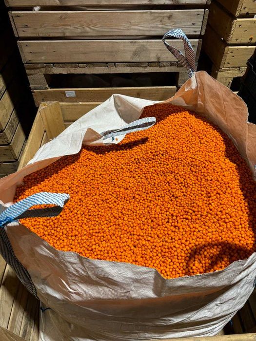 Свіжоморожена сортова обліпиха