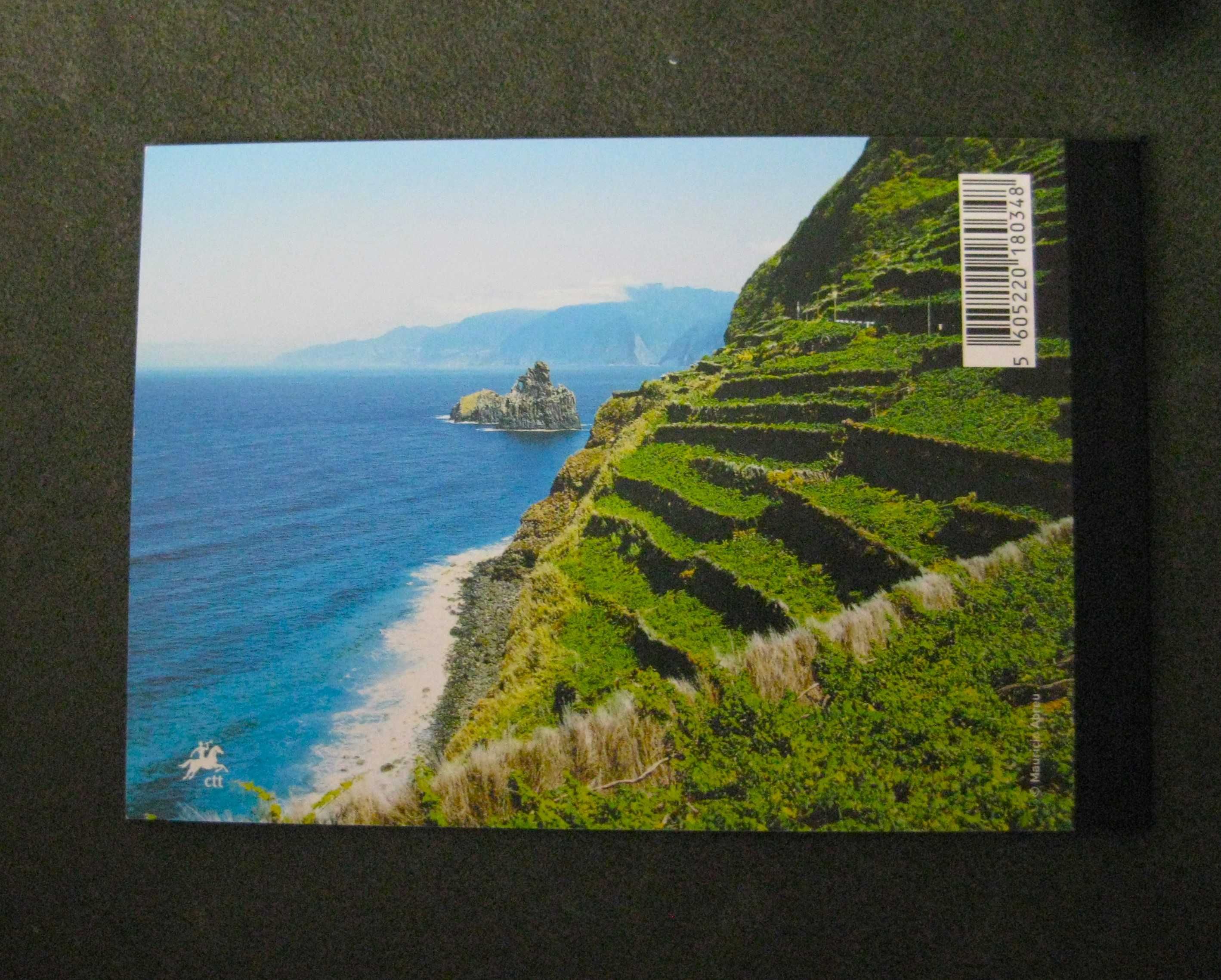 2008 – Carteira anual Nº4B – Madeira