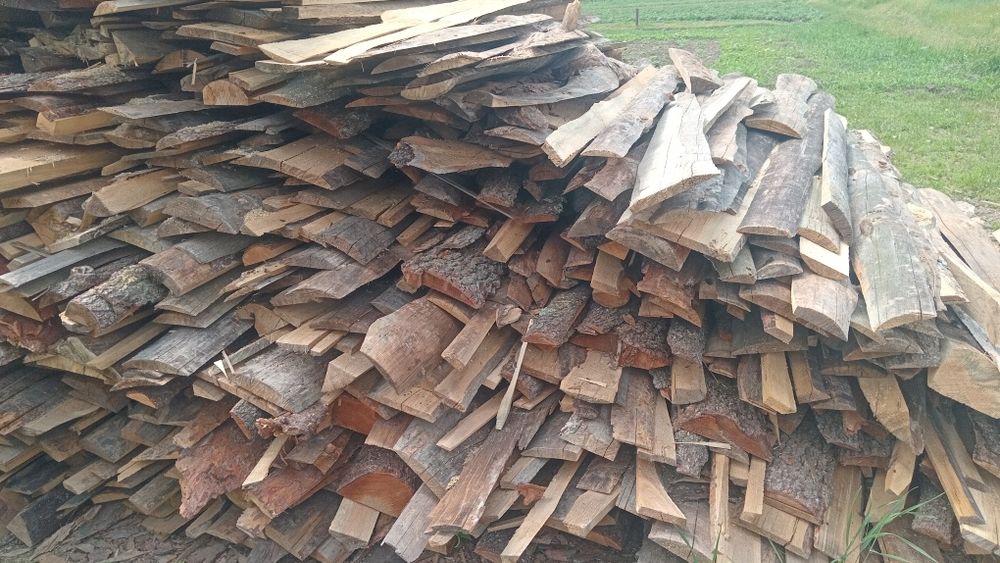 Обзели соснові двохметрові