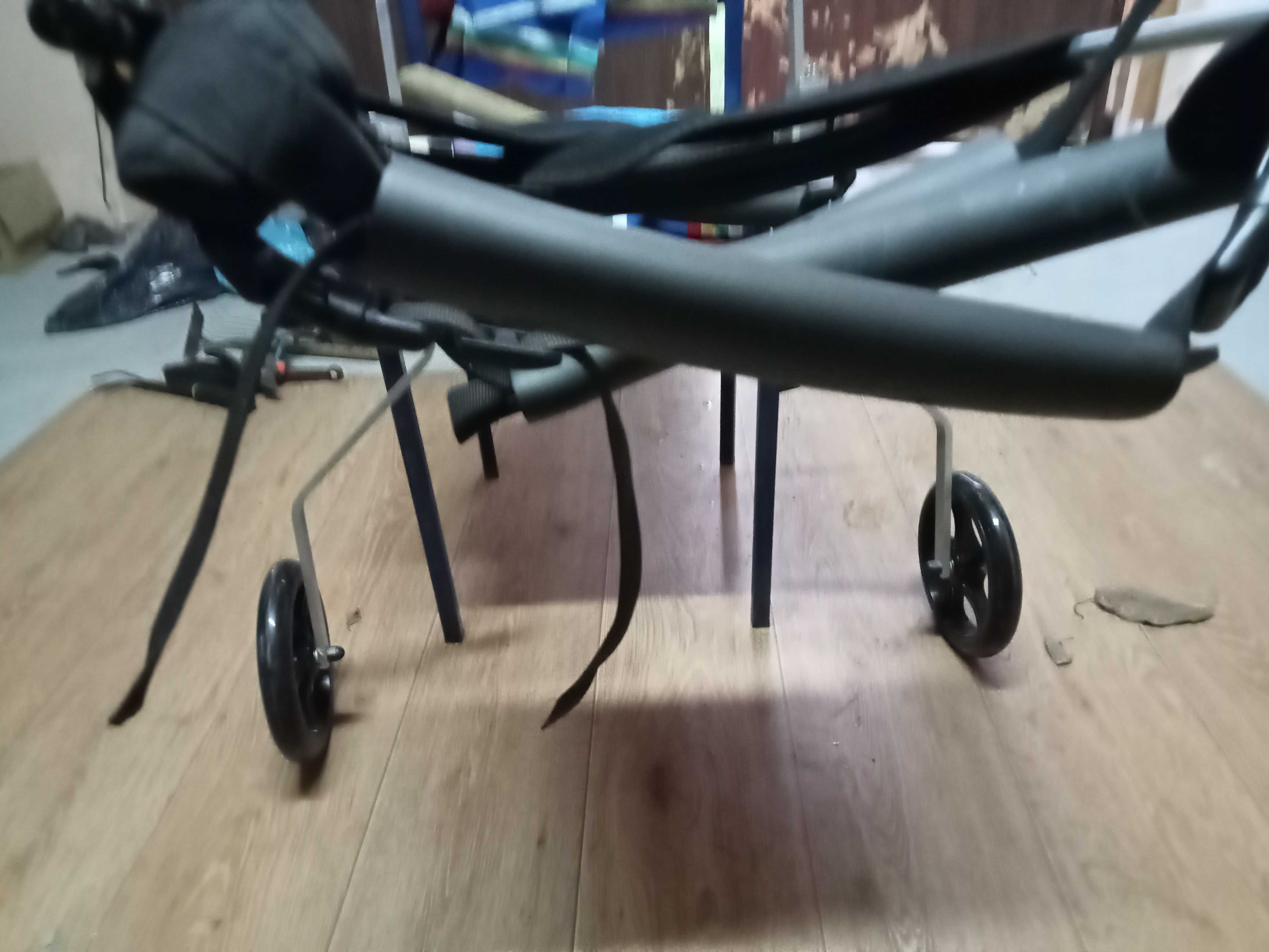 wózek inwalidzki dla psa
