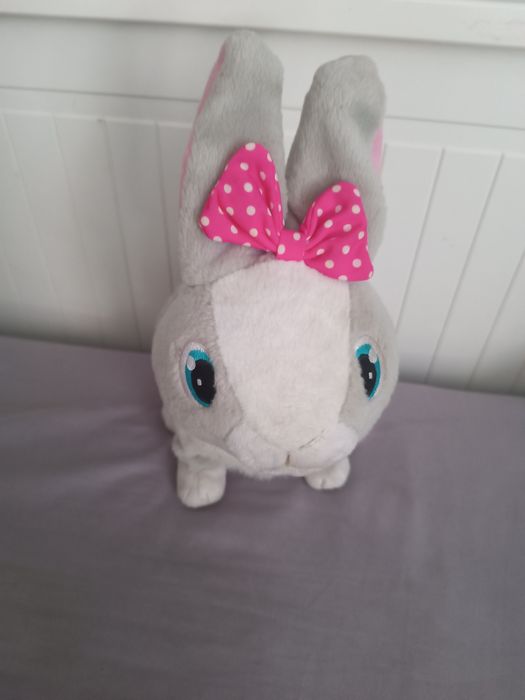Królik interaktywny tusia