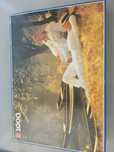 Puzzle 1000szt firmy Jumbo