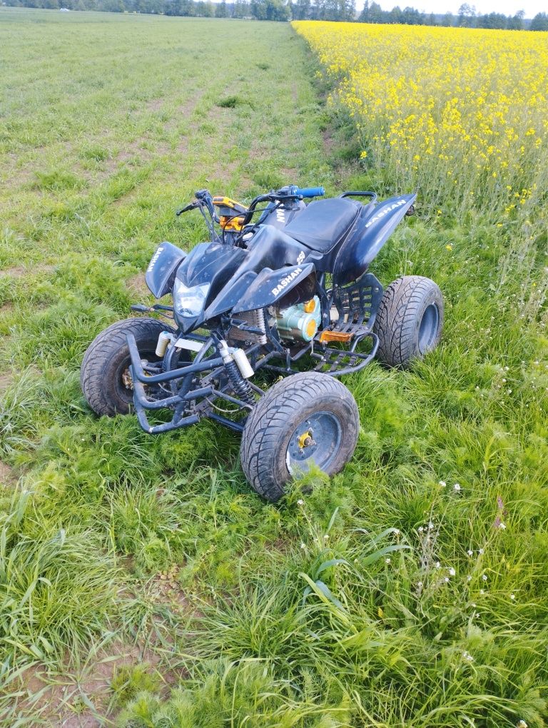 Sprzedam Bashan 250